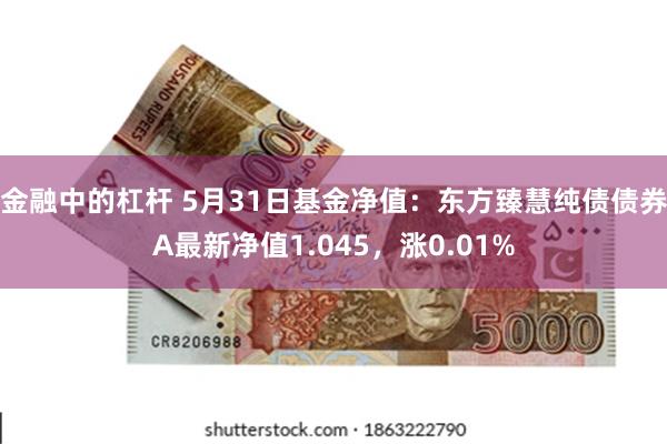 金融中的杠杆 5月31日基金净值：东方臻慧纯债债券A最新净值1.045，涨0.01%