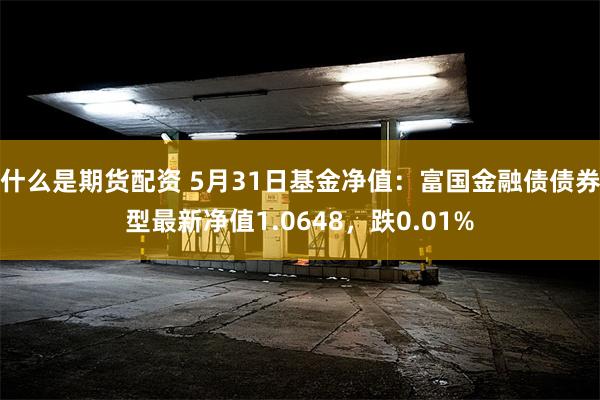 什么是期货配资 5月31日基金净值：富国金融债债券型最新净值1.0648，跌0.01%