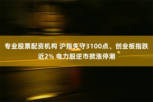 专业股票配资机构 沪指失守3100点、创业板指跌近2% 电力股逆市掀涨停潮